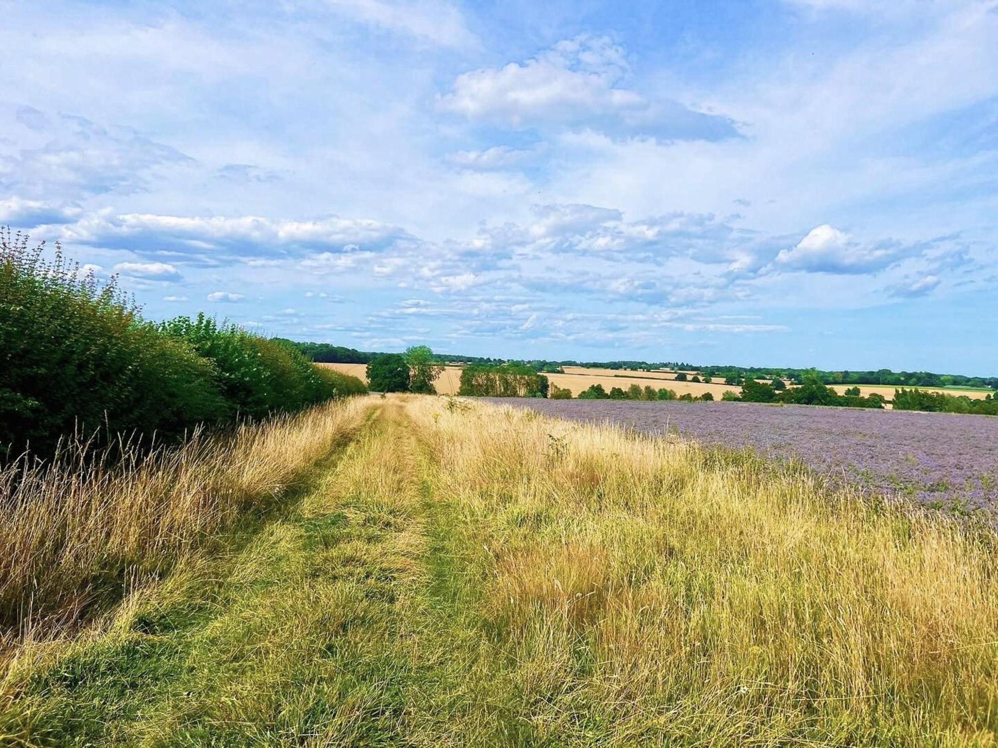 Вилла River House Kersey Экстерьер фото